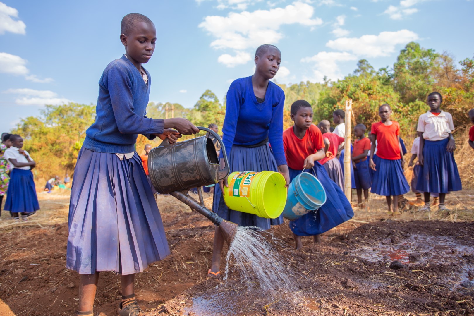 Pupils watering during an Agriculture class