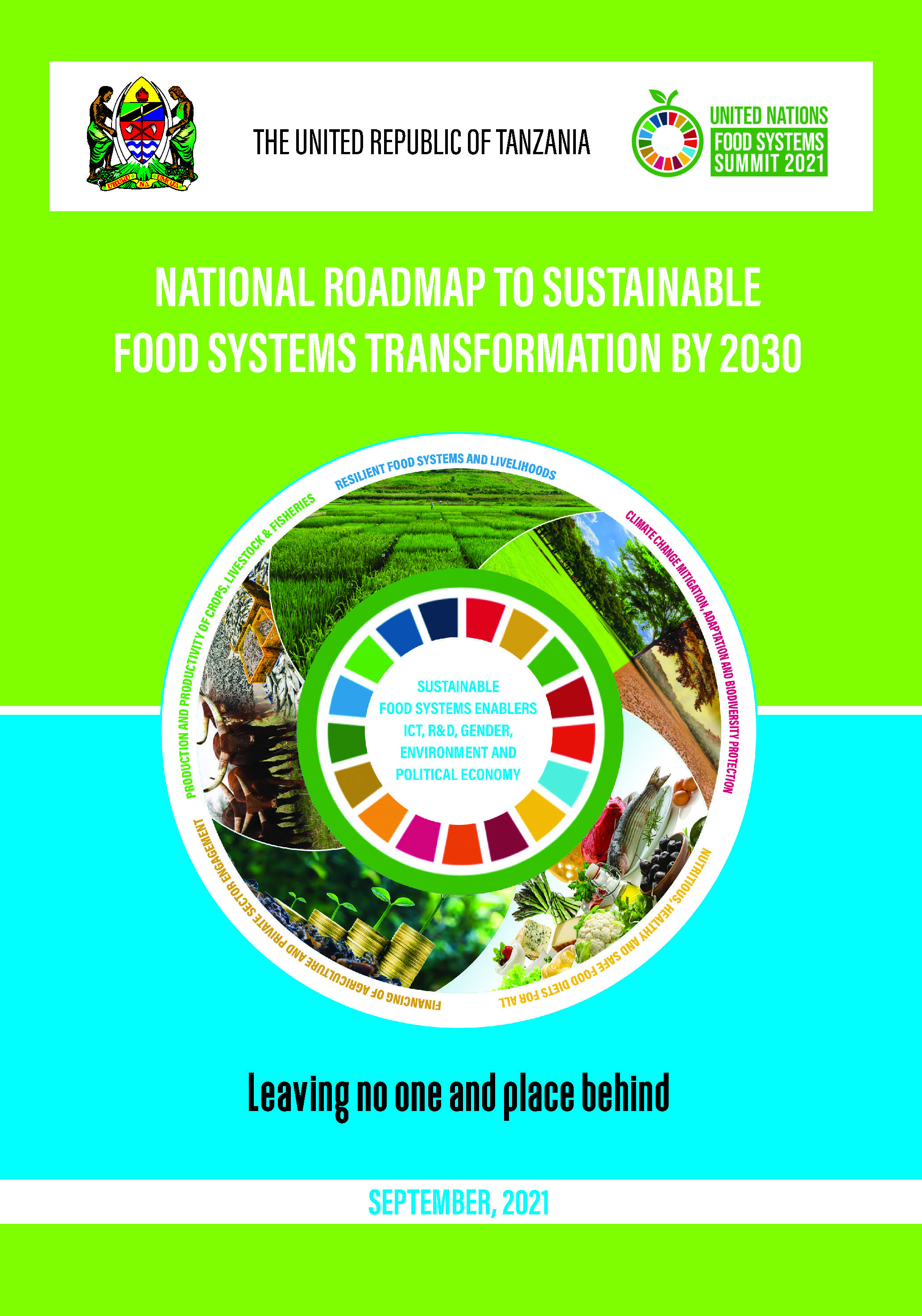 National Roadmap to Sustainable Food Systems Transformation by 2030
